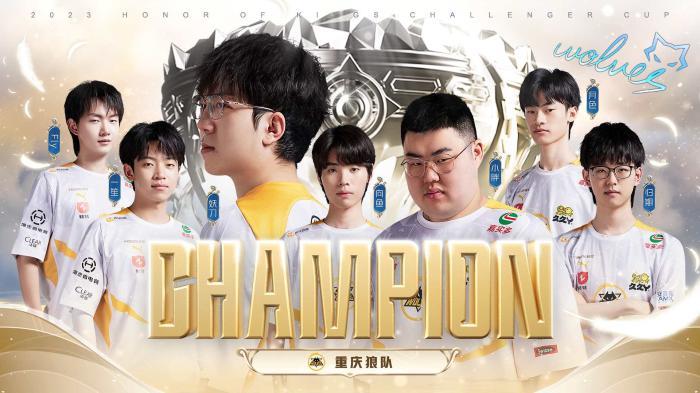 他的表现始