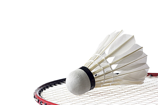 洲和世界范 洲和世界范